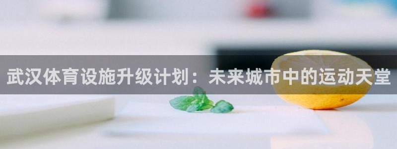 意昂体育4平台是正规平台吗知乎：武汉体育设施升级计划