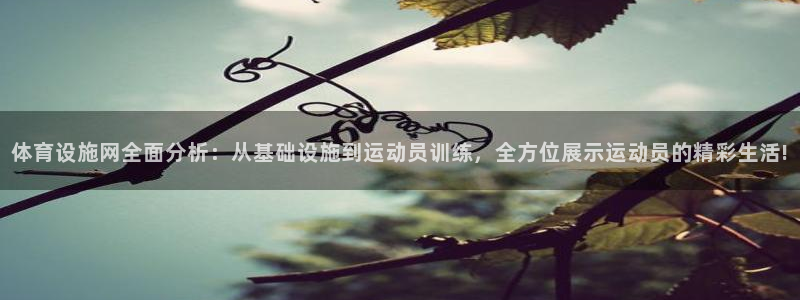 意昂4娱乐首页官网下载：体育设施网全面分析：从基础设