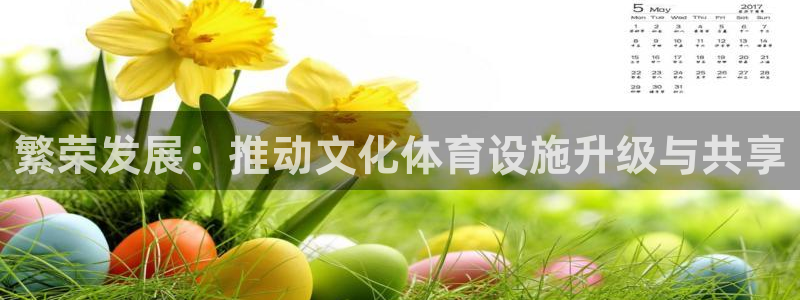 意昂体育4平台注册流程图：繁荣发展：推动文化体育设施升级与共