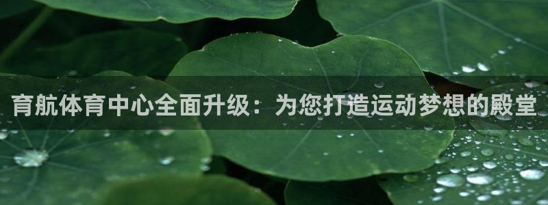 意昂4科技：育航体育中心全面升级：为您打造运动梦想的