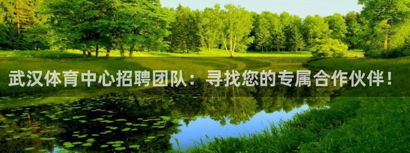 意昂体育4招商电话是多少啊：武汉体育中心招聘团队：寻