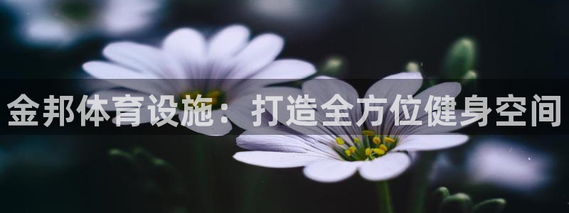 意昂体育4软件：金邦体育设施：打造全方位健身空间
