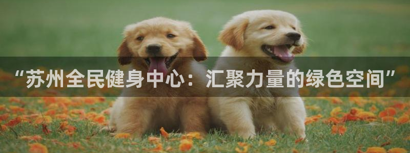 意昂体育4平台注册要钱吗：“苏州全民健身中心：汇聚力