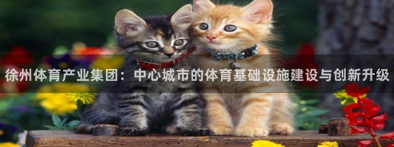 意昂体育4联系电话：徐州体育产业集团：中心城市的体育