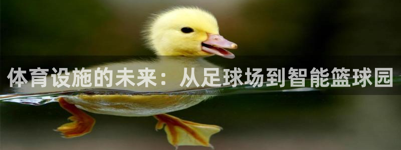 意昂体育4官方客服电话：体育设施的未来：从足球场到智