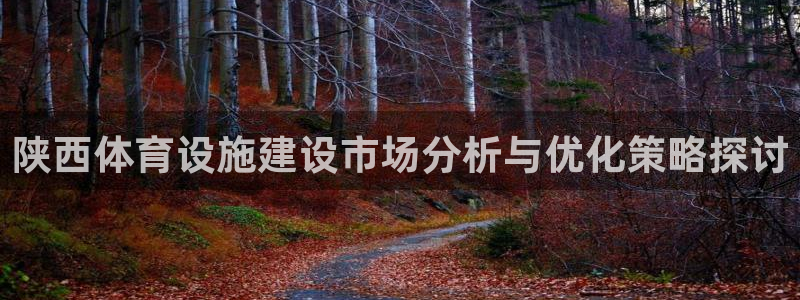 海南意昂体育4：陕西体育设施建设市场分析与优化策略探