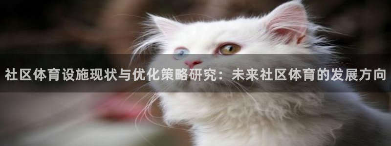 意昂体育4平台注册流程图：社区体育设施现状与优化策略