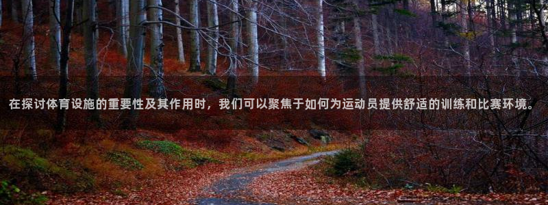 意昂4娱乐下载：在探讨体育设施的重要性及其作用时，我们可以聚