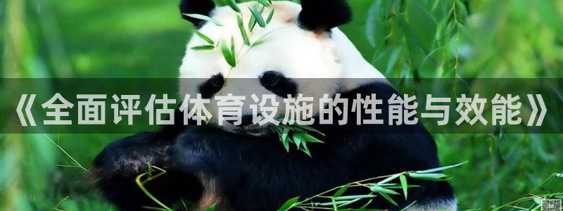 意昂体育4招商电话是多少啊：《全面评估体育设施的性能与效能》