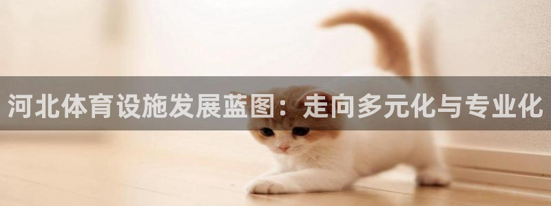 意昂体育4招商电话号码是多少啊：河北体育设施发展蓝图