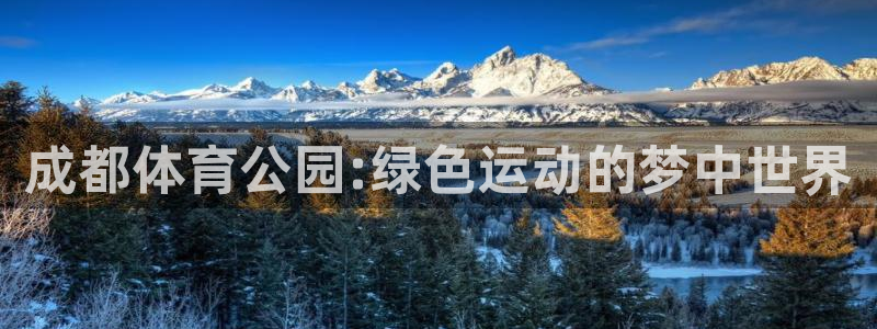 意昂4娱乐40996：成都体育公园:绿色运动的梦中世