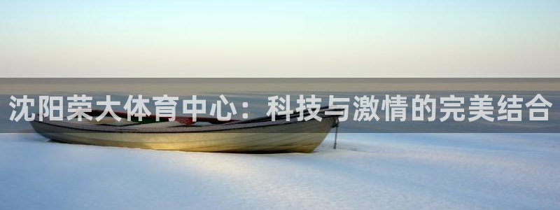 意昂4娱乐网站：沈阳荣大体育中心：科技与激情的完美结
