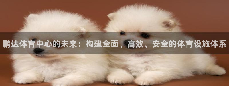 意昂4神州：鹏达体育中心的未来：构建全面、高效、安全