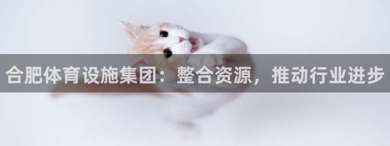 意昂体育4招商电话号码：合肥体育设施集团：整合资源，