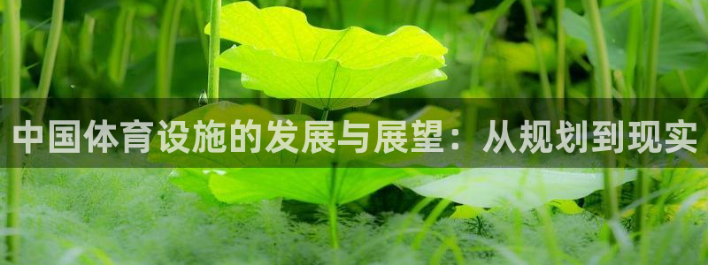 意昂体育4平台是正规平台吗：中国体育设施的发展与展望
