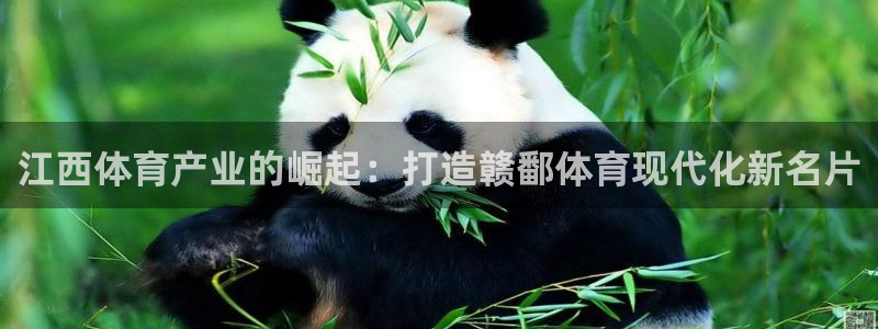 德国意昂4集团
