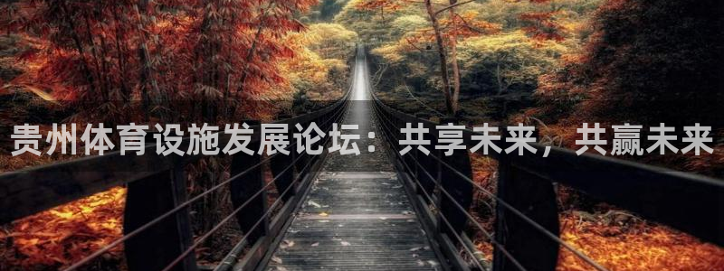 意昂体育4平台注册：贵州体育设施发展论坛：共享未来，共赢未来