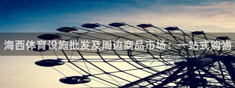 意昂体育4软件：海西体育设施批发及周边商品市场：一站式购物 