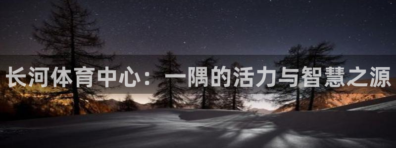 海南意昂体育4：长河体育中心：一隅的活力与智慧之源