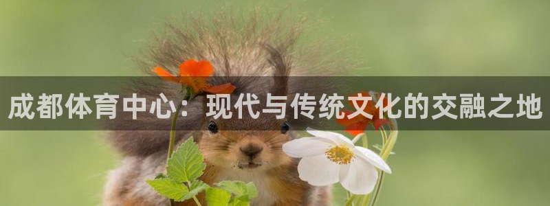 注册意昂4：成都体育中心：现代与传统文化的交融之地