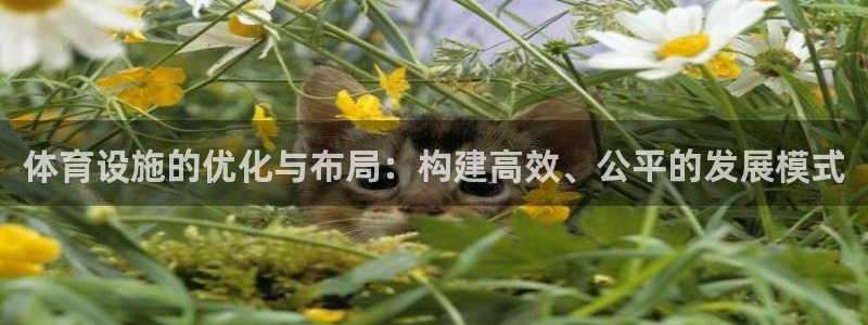 意昂4集团官网首页：体育设施的优化与布局：构建高效、