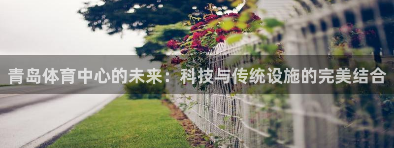 意昂体育4招商电话是多少啊：青岛体育中心的未来：科技