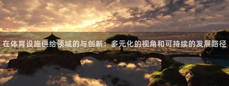 意昂体育4平台注册要钱吗：在体育设施供给领域的与创新