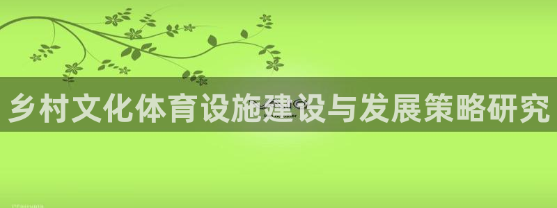 意昂4集团E.ON：乡村文化体育设施建设与发展策略研