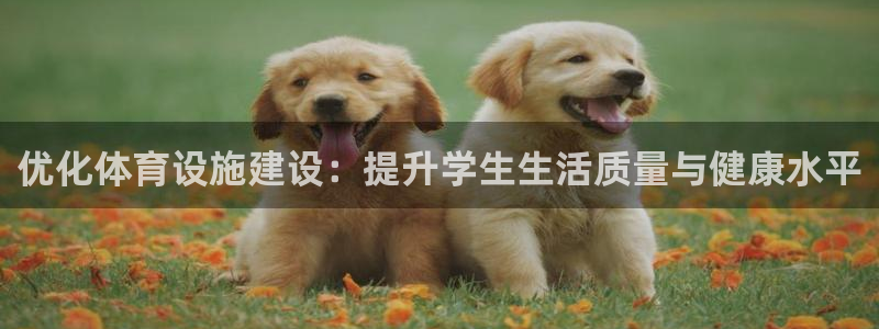 意昂集团官网：优化体育设施建设：提升学生生活质量与健