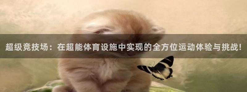 意昂4代理：超级竞技场：在超能体育设施中实现的全方位