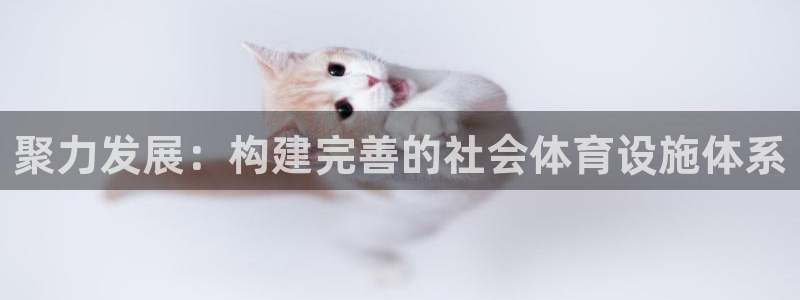 意昂体育4招商：聚力发展：构建完善的社会体育设施体系