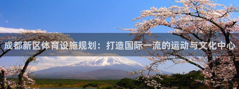意昂体育4平台APP：成都新区体育设施规划：打造国际
