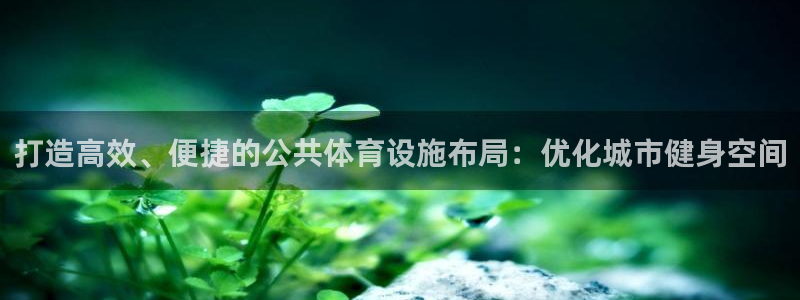 意昂体育4平台注册要钱吗安全吗：打造高效、便捷的公共