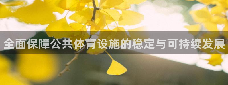 意昂体育4平台是正规平台吗安全吗：全面保障公共体育设