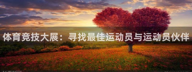 意昂体育4平台假的吗是真的吗吗：体育竞技大展：寻找最