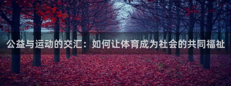 意昂体育4平台：公益与运动的交汇：如何让体育成为社会