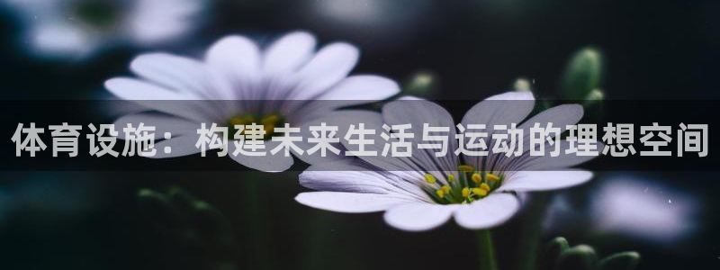 意昂4开户：体育设施：构建未来生活与运动的理想空间