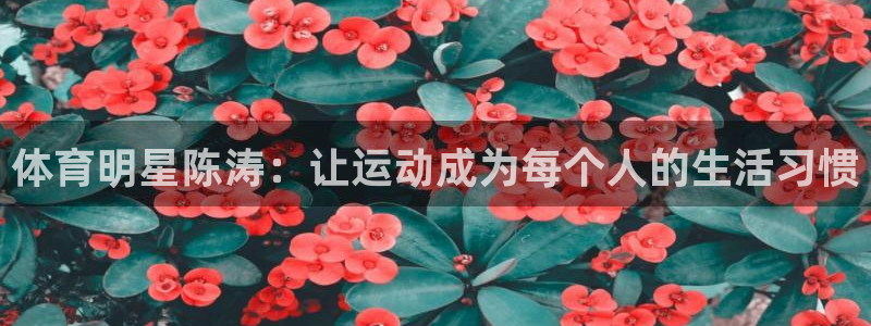 意昂体育4娱乐：体育明星陈涛：让运动成为每个人的生活习惯
