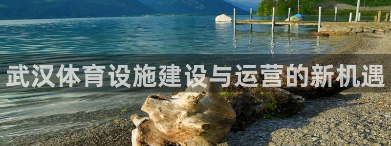 意昂平台体育：武汉体育设施建设与运营的新机遇