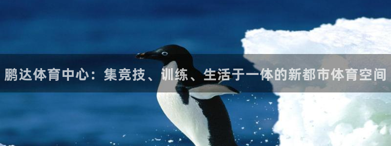 意昂4代理：鹏达体育中心：集竞技、训练、生活于一体的