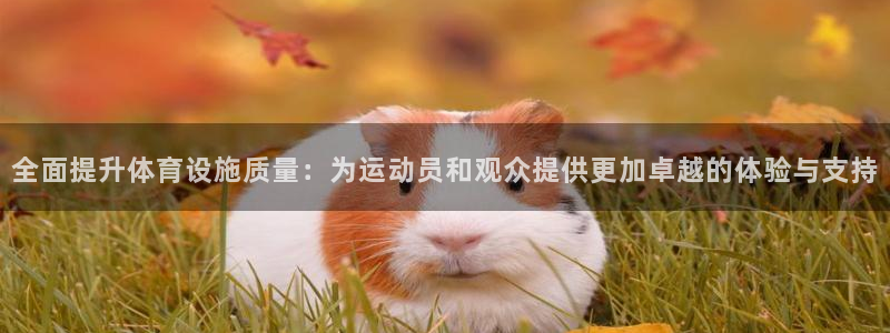 意昂4娱乐40996：全面提升体育设施质量：为运动员