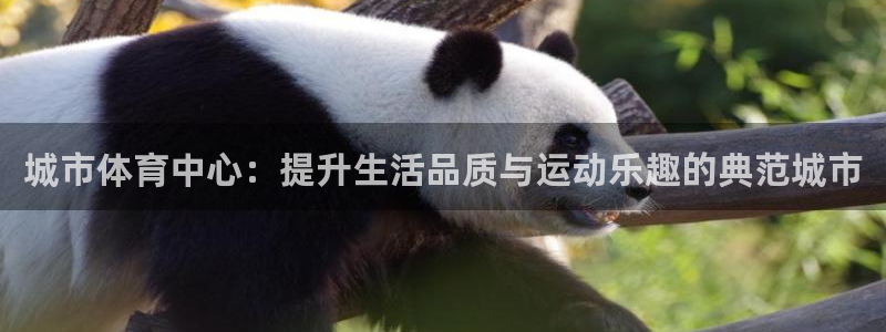 意昂4五金厂：城市体育中心：提升生活品质与运动乐趣的