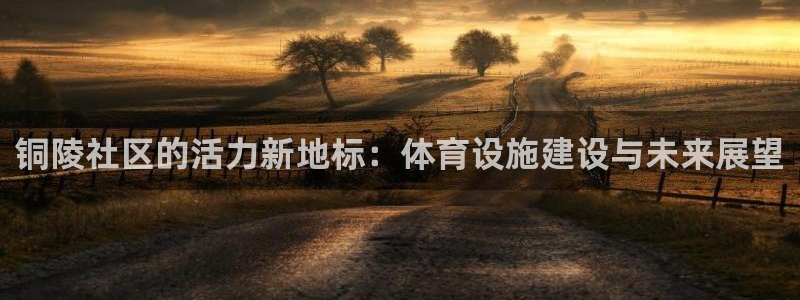 意昂4集团E.ON：铜陵社区的活力新地标：体育设施建