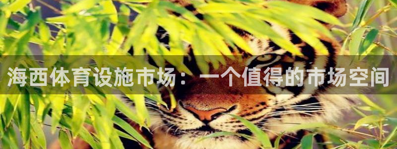 德国意昂4集团：海西体育设施市场：一个值得的市场空间