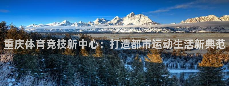 意昂体育4是干嘛的公司：重庆体育竞技新中心：打造都市运动生活