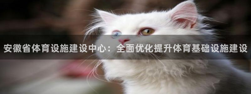 意昂体育4平台注册要钱吗：安徽省体育设施建设中心：全