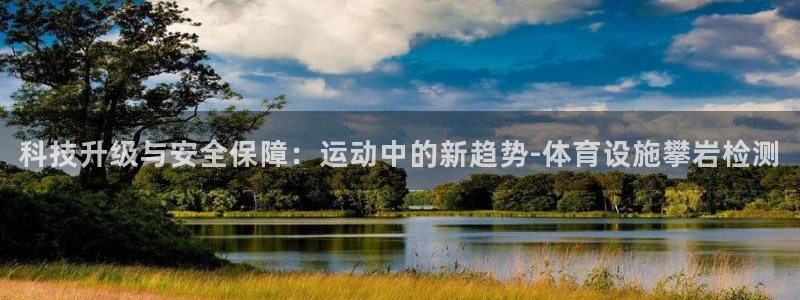意昂4新能源：科技升级与安全保障：运动中的新趋势-体
