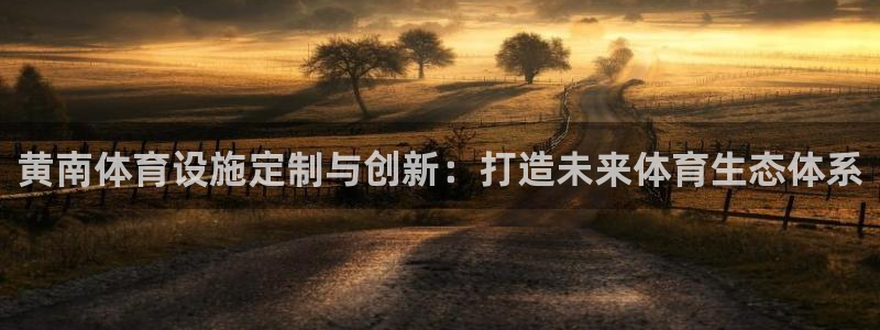 意昂体育4平台APP：黄南体育设施定制与创新：打造未