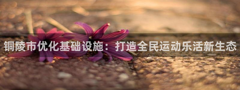 意昂4新能源：铜陵市优化基础设施：打造全民运动乐活新