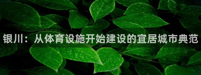 意昂体育4招商电话是多少号码：银川：从体育设施开始建